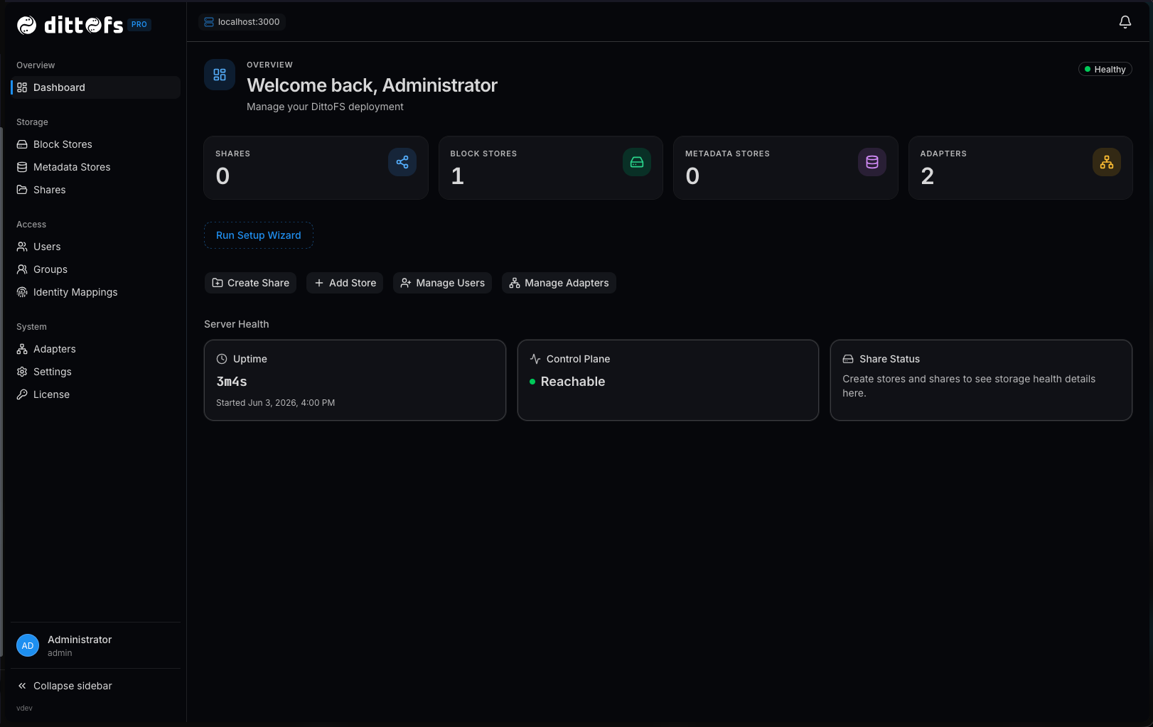 DittoFS PRO dashboard showing shares, stores, adapters, and server health